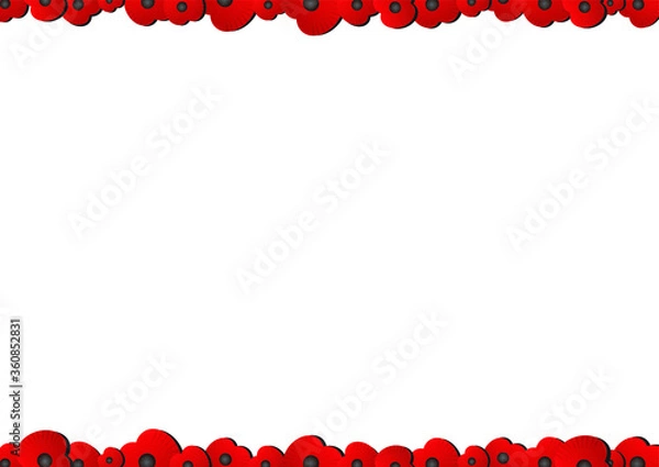 Fototapeta Remembrance Day poppy appeal poppies border vector