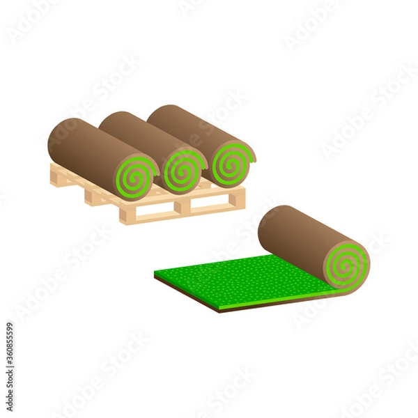 Fototapeta Turf Rolls.Lawn rolls on pallet.Vector isometric and 3D view.