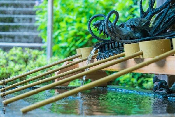 Obraz 神社にある龍の手水舎