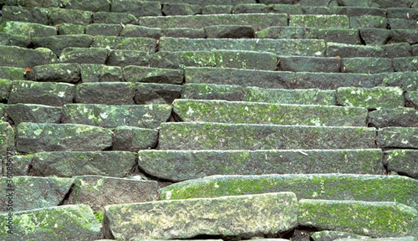 Obraz 苔が生い茂る石段