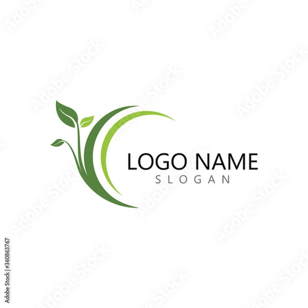 Obraz Logos of green Tree leaf ecology