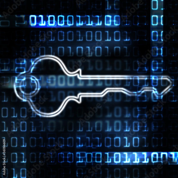 Obraz security key and binary code