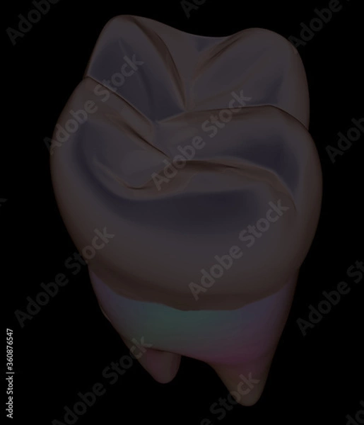 Fototapeta Tooth. 3d illustration. On a black background.