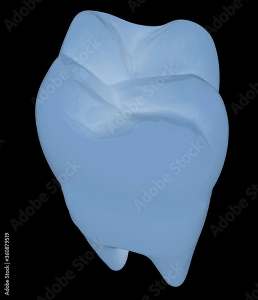 Fototapeta Tooth. 3d illustration. On a black background.