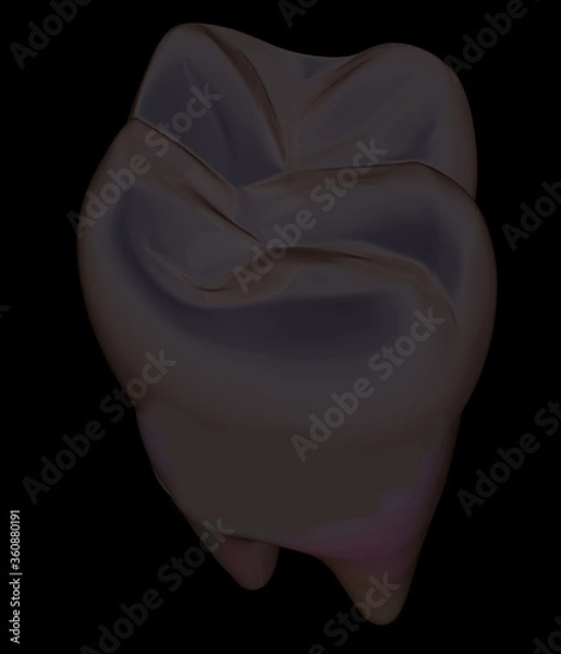 Fototapeta Tooth. 3d illustration. On a black background.