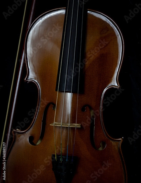 Obraz The Violin