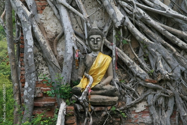 Obraz Thailand Ayutthaya