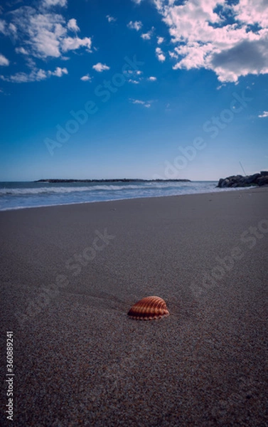 Obraz beach at sunset