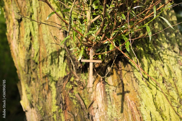 Fototapeta Cross on the tree with its shadow.
