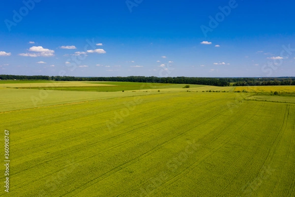 Fototapeta Aerial view of green field and blue sky.