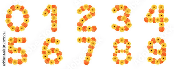 Fototapeta Set of number created by daisy flowers.