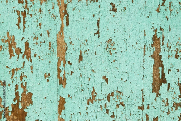 Fototapeta Old Turquoise Blue Wood Panel with Peeling Paint Texture