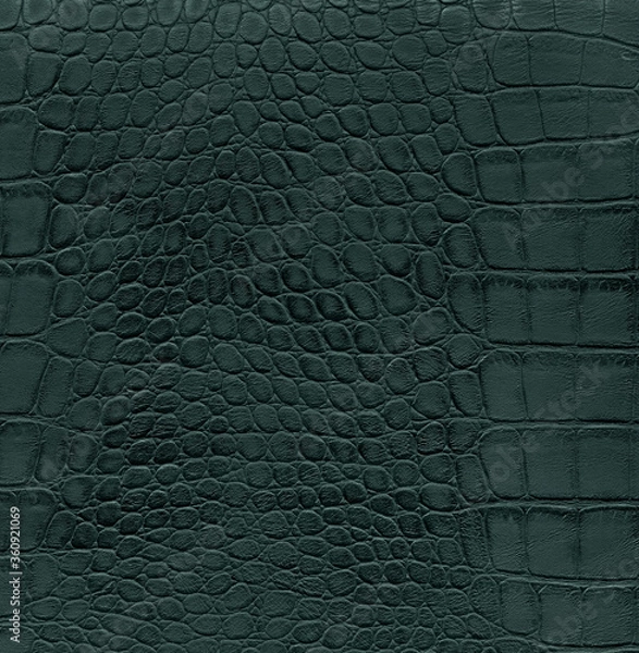 Obraz crocodile skin texture