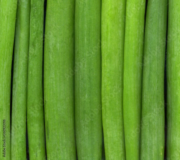 Obraz green beans background