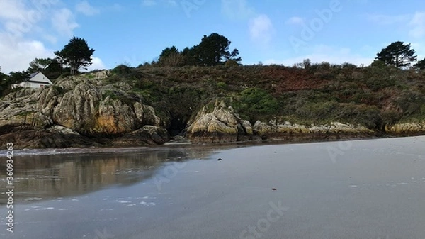 Obraz Sea and forest