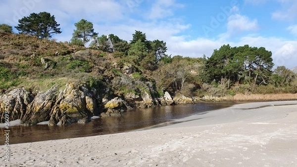 Obraz sand dunes and trees