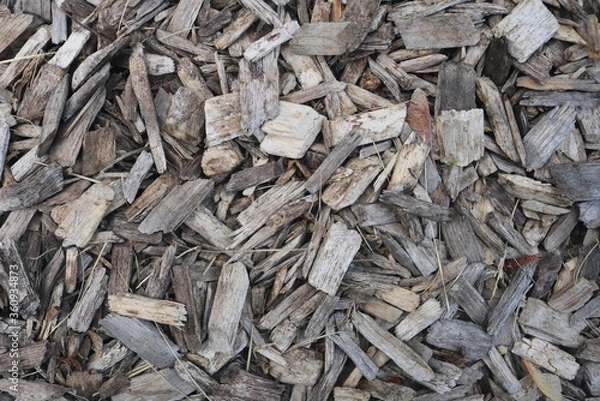 Fototapeta Wood Chips