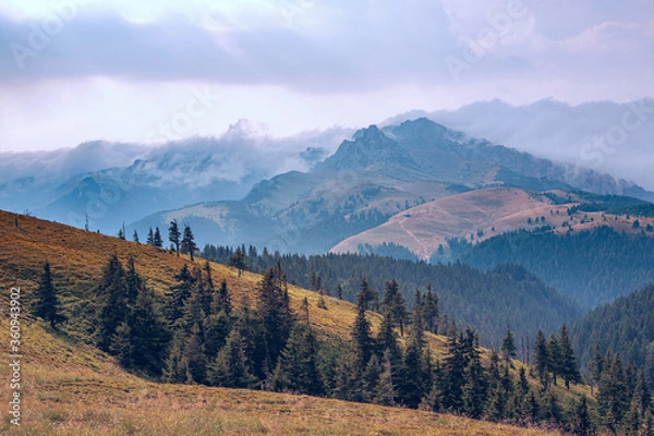 Fototapeta A beautiful mountain landscape with fir trees, mountain peaks and a fabulous sky.