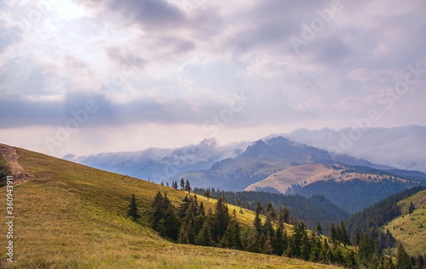 Fototapeta A beautiful mountain landscape with road, fir trees, mountain peaks and a fabulous sky.