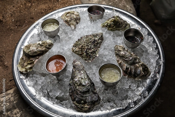 Obraz oysters