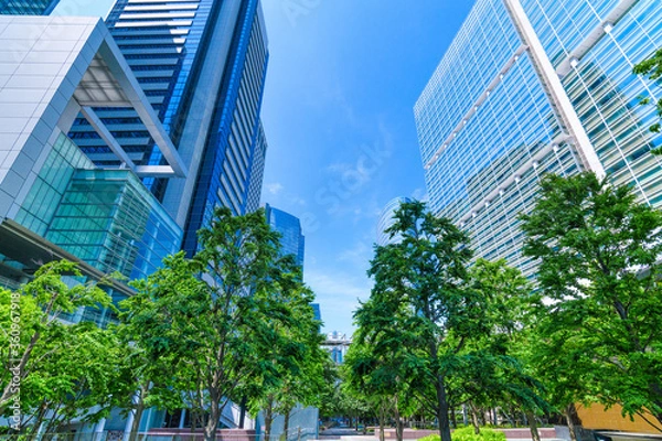 Obraz 爽やかな緑のビジネス街