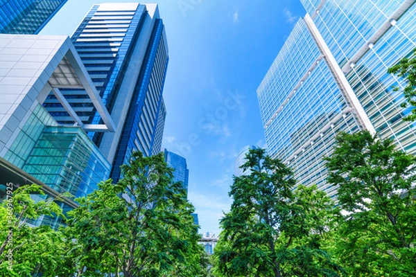 Fototapeta 爽やかな緑のビジネス街