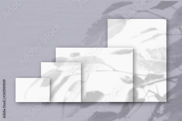 Fototapeta Several horizontal and vertical sheets of white textured paper against a grey wall background. Mockup with an overlay of plant shadows. Natural light casts shadows from a tropical plant