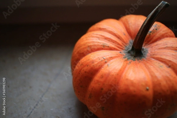 Obraz pumpkin on wood