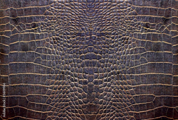 Obraz cuire crocodile