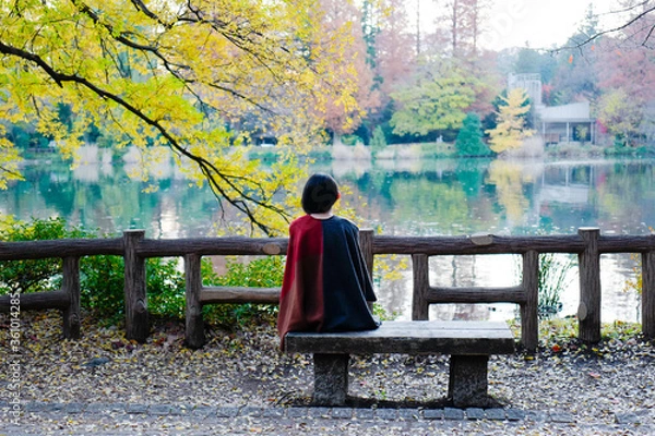 Obraz 後ろ姿の女性、秋の風景