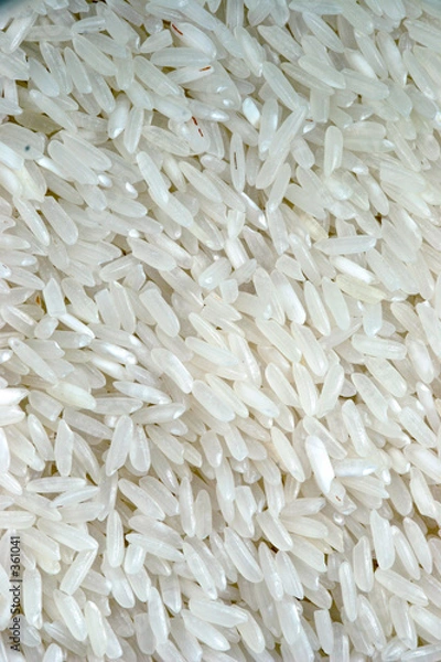 Fototapeta rice macro