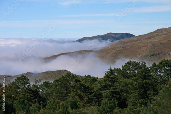 Obraz Madeira über den Wolken