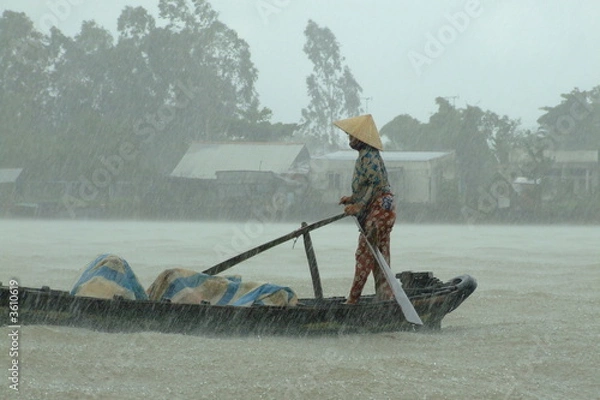 Obraz Pluie dans le delta du Mekong a Can Tho