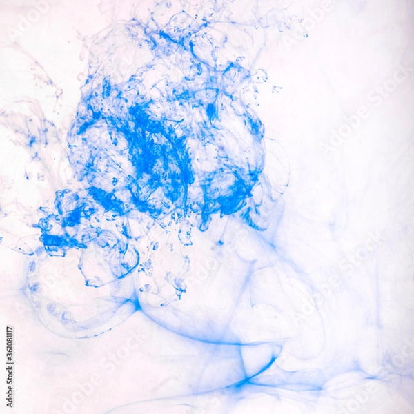 Obraz liquid_flowers