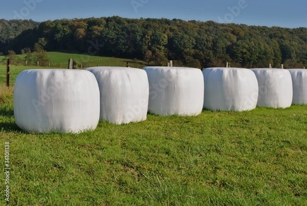 Fototapeta enrubannage 2011