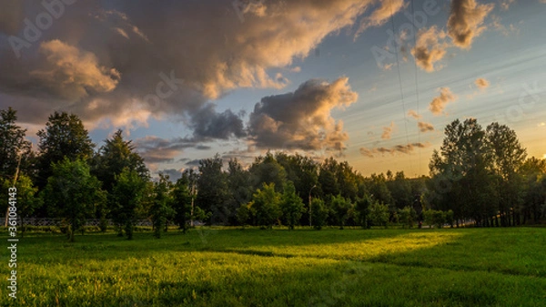 Fototapeta Evening view with haze of sunset on trees and clouds