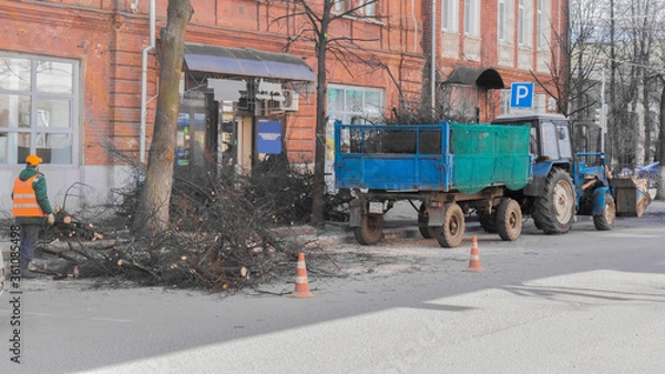 Fototapeta Cleaning by utility services of sawn tree branches