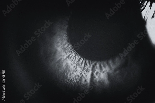 Obraz black and white