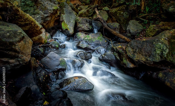 Obraz waterfall in the forest