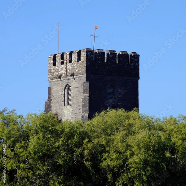 Fototapeta View of old church tower rising above the trees