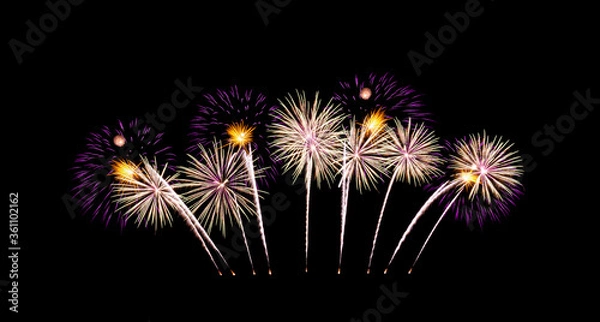 Obraz Beautiful pink fireworks exploding on night sky.