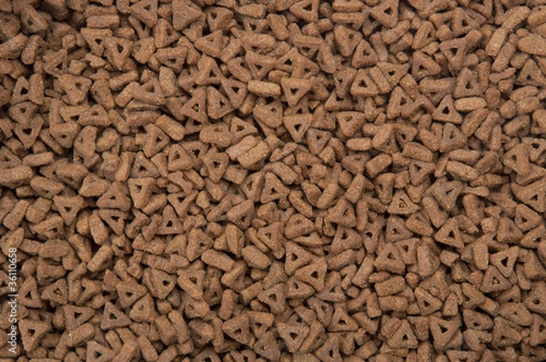Obraz Dry pets food background
