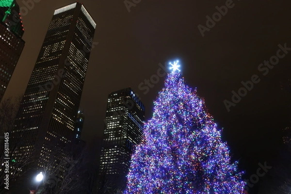 Obraz Lit up tree in Chicago