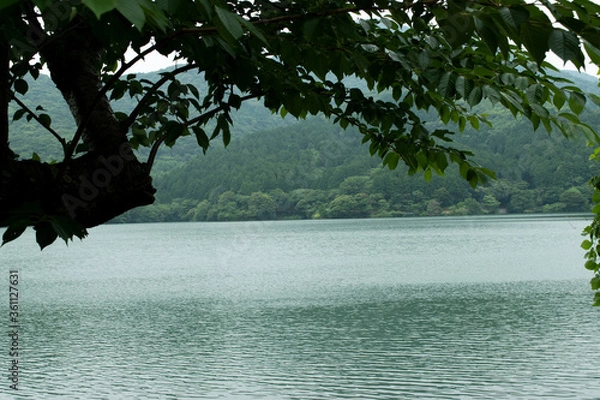 Fototapeta 下関、深坂の森ため池