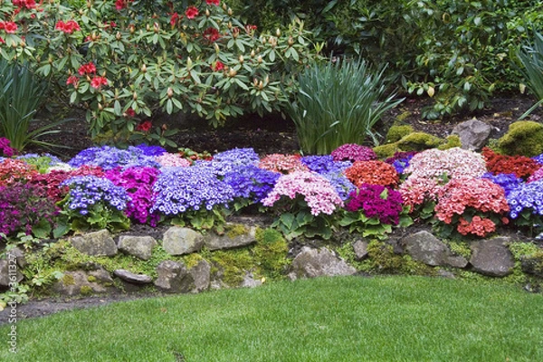 Obraz Beautiful and colorful lowers in Butchart Gardens