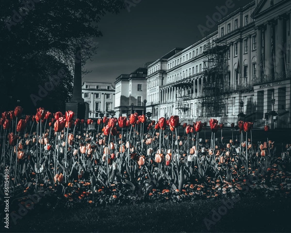 Obraz CHELTENHAM AREA LOCKDOWN 2020