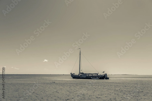Fototapeta A boat ship sail vessel run upon the sands on Terschelling island; strike bottom; get aground
