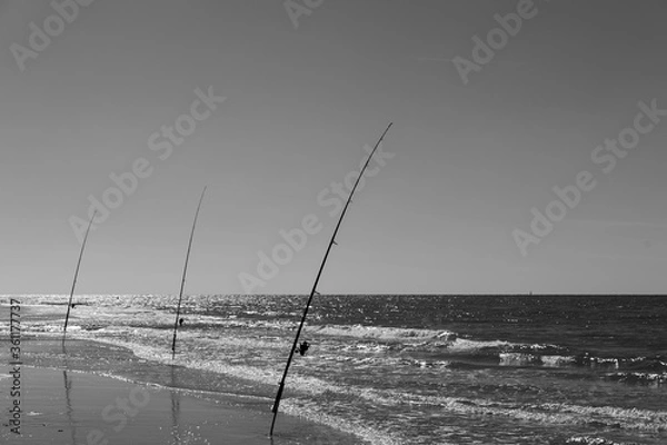 Fototapeta Three leaning fishing rods in a row sticked into sand of the North Sea coast waiting for a fish in black and white with nobody around on a sunny day