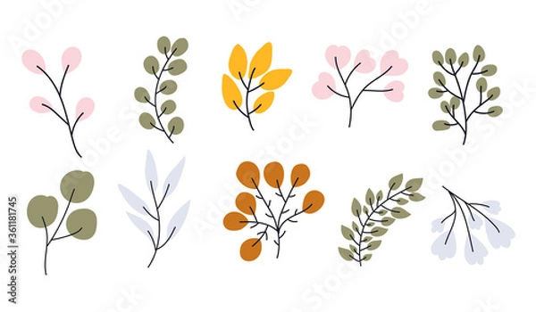 Fototapeta Vector hand drawn collection of branches for nursery decoration and baby shower