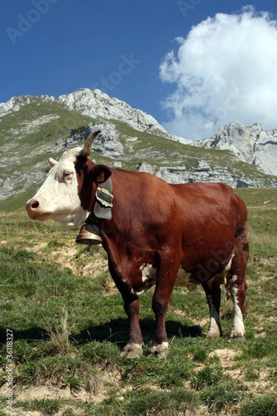 Obraz Abondance de la Tournette